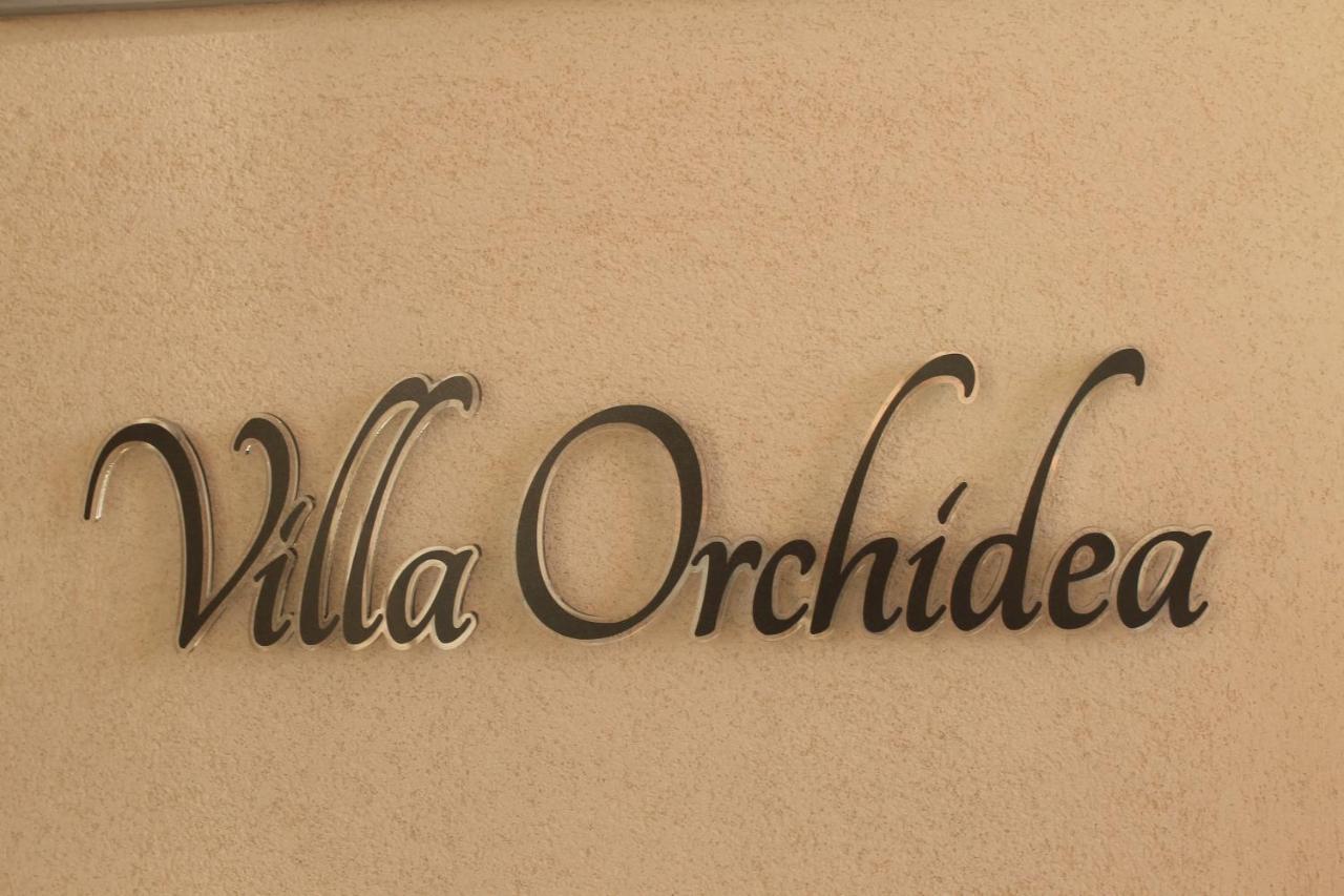 B&B Villa Orchidea Ricadi Zewnętrze zdjęcie