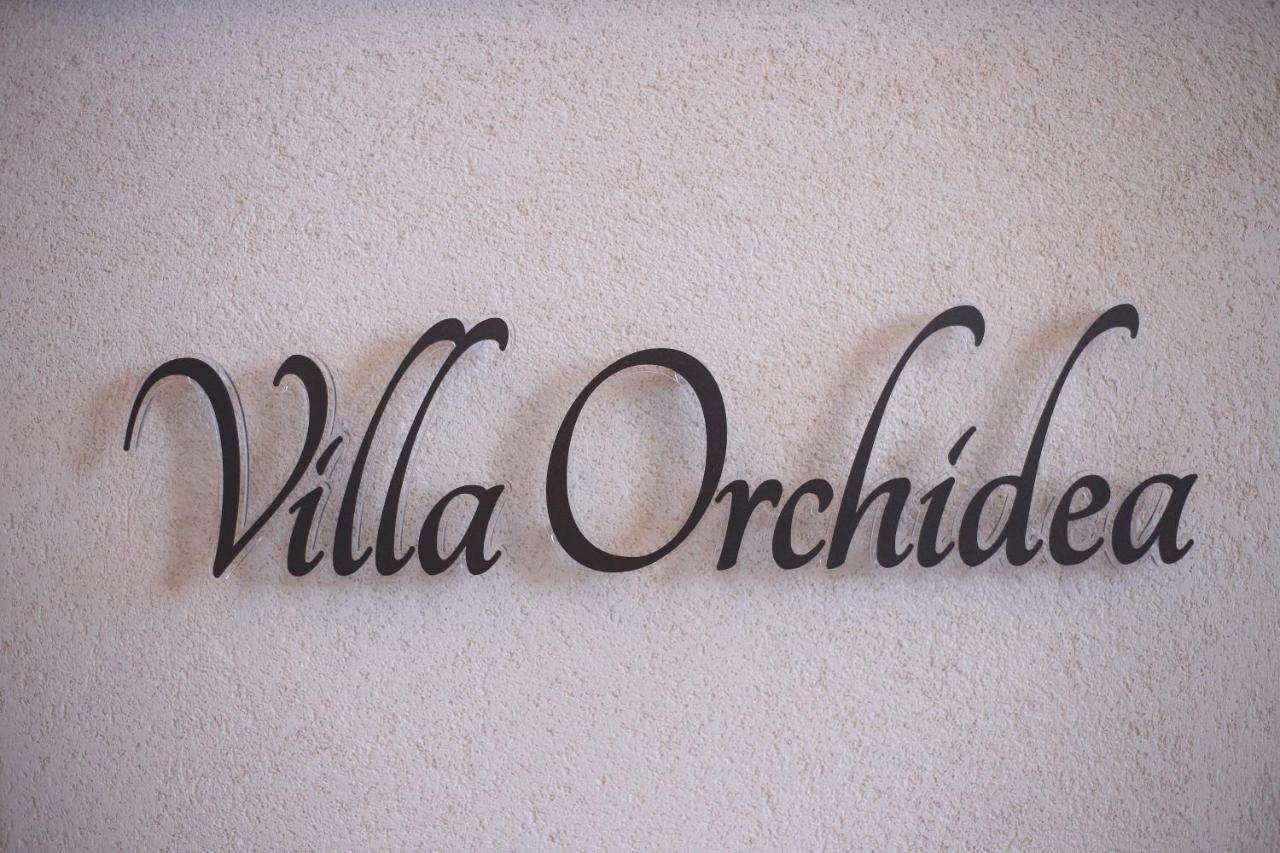 B&B Villa Orchidea Ricadi Zewnętrze zdjęcie