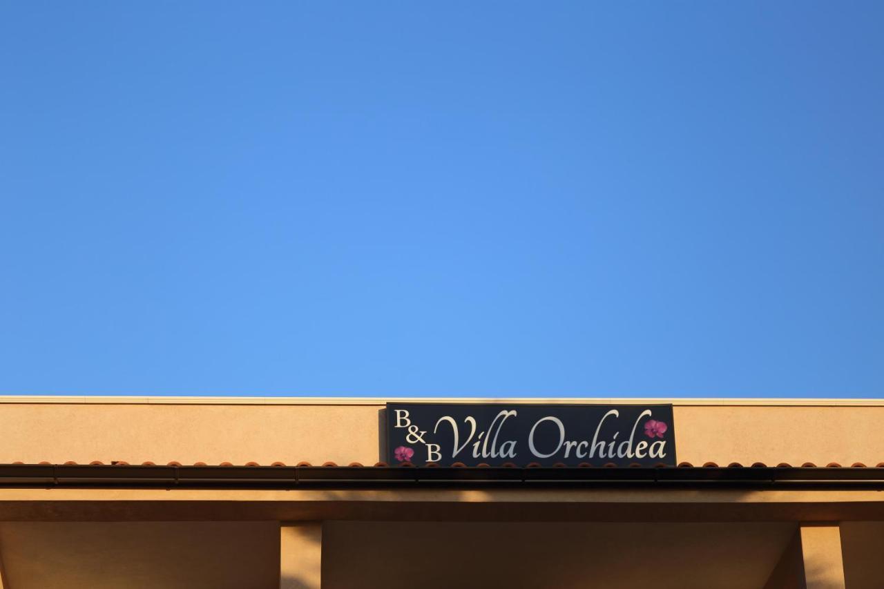 B&B Villa Orchidea Ricadi Zewnętrze zdjęcie
