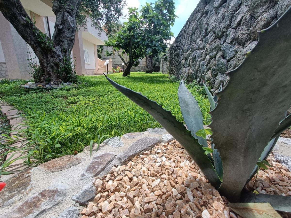 B&B Villa Orchidea Ricadi Zewnętrze zdjęcie